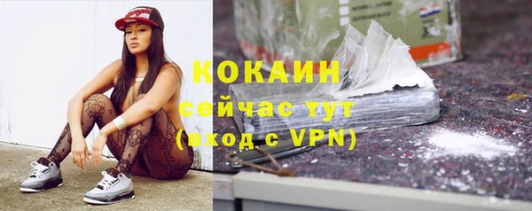бошки Богданович