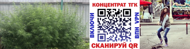 ТГК жижа  где найти   ссылка на мегу онион  Шумиха 
