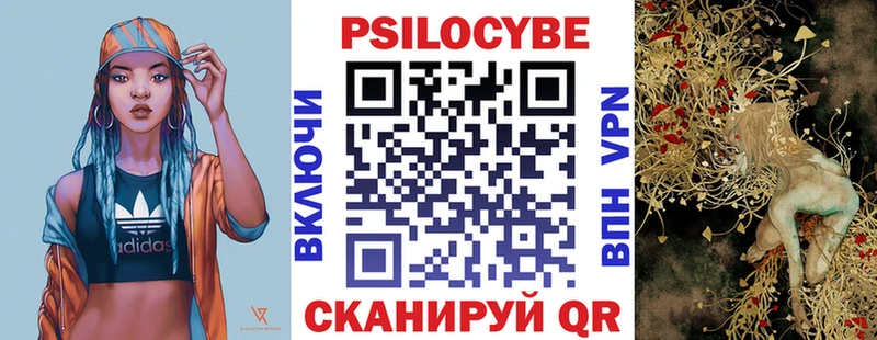 купить   Шумиха  Псилоцибиновые грибы Psilocybine cubensis 